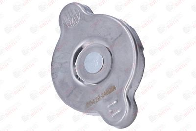 BUSON RADIATOR BIRTH 80429 2