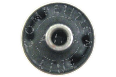 LAGERUNG ACHSKöRPER