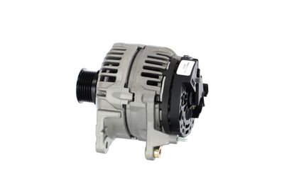 GENERATOR / ALTERNATOR REMANTE 011003000503R 17