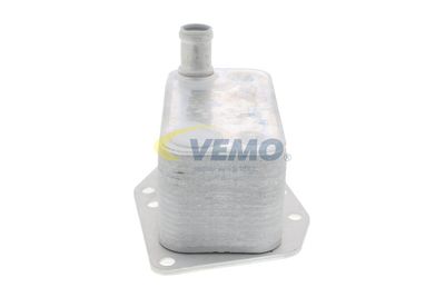 RADIATOR ULEI ULEI MOTOR VEMO V20600043 14