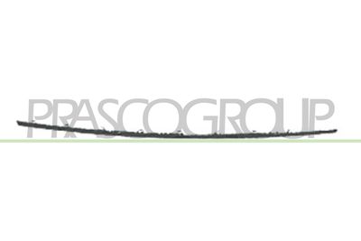 ACOPERIRE GRILA RADIATOR PRASCO VG0753222