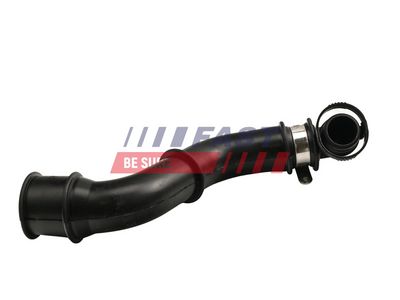 FURTUN EAR SUPRAALIMENTARE