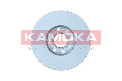 Brake Disc 103067