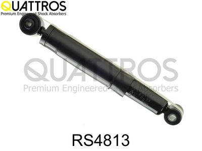 Amortyzator DAVID VASCO RS4813