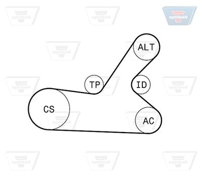 SET CUREA TRANSMISIE CU CANELURI OPTIBELT 6PK1145KT2 2
