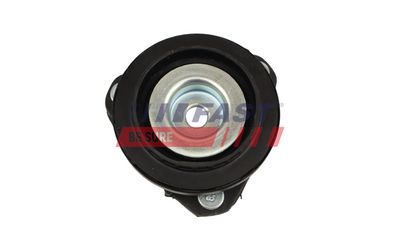 BUCSA AMORTIZOR FAST FT10088 1