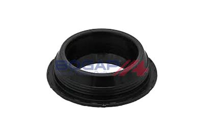 GARNITURA CAPAC SUPAPE