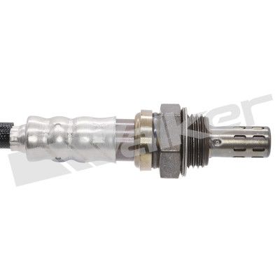 LAMBDASONDE WALKER PRODUCTS 25024978 1