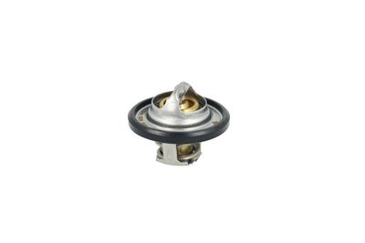 TERMOSTAT LICHID RACIRE NRF 725544 33