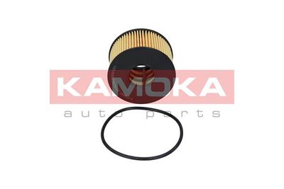 Oil Filter F103001