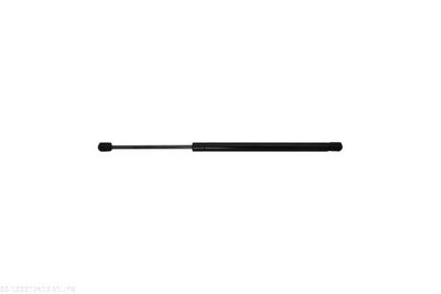 AMORTIZOR PORTBAGAJ AUTOMEGA 100017410 2