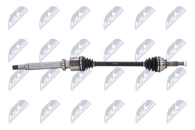 PLANETARA NTY NPWFR034 7