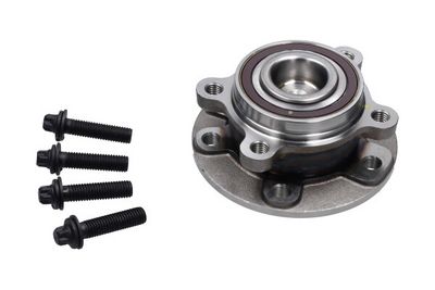 Kavo Parts Rato guolio komplektas