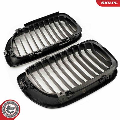 GRILA RADIATOR ESEN SKV 66SKV077 3