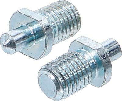 Zapfenpaar, Stirnlochschlüssel