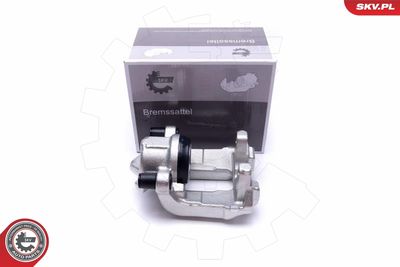 Brake Caliper 55SKV991