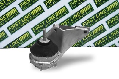 окачване, двигател FIRST LINE FEM3134