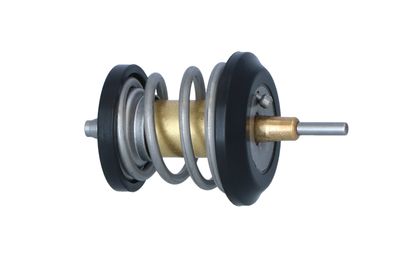 TERMOSTAT LICHID RACIRE NRF 725250 36