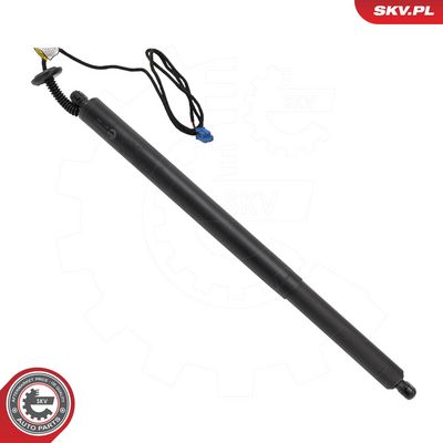 Electric motor, tailgate