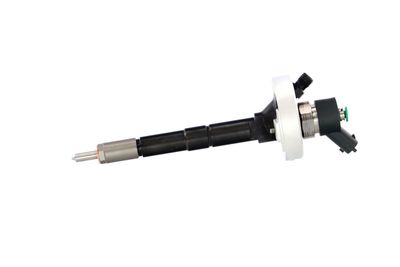 INJECTOR REMANTE 002003001315R 13