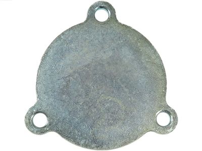 AS-PL Starterdeckel, Vergaser