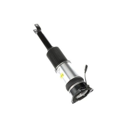 LUFTFEDERBEIN Arnott AS2966 56