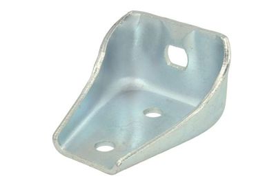 Door Hinge CARGOPARTS CARGO-E049