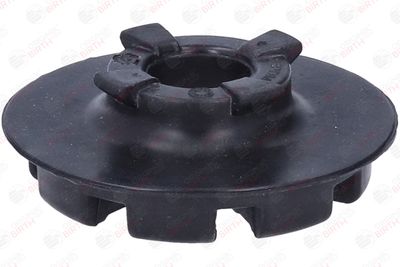 SAIBA ARC BIRTH 56763 4