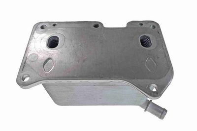 RADIATOR ULEI ULEI MOTOR VEMO V95600030 2