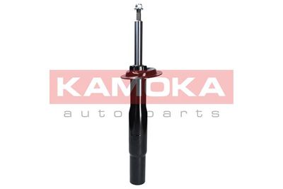 Shock Absorber 2000036