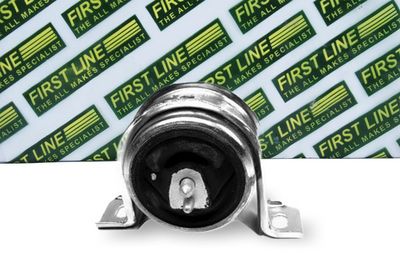 окачване, двигател FIRST LINE FEM3439