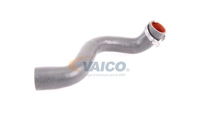 FURTUN EAR SUPRAALIMENTARE VAICO V460823 55