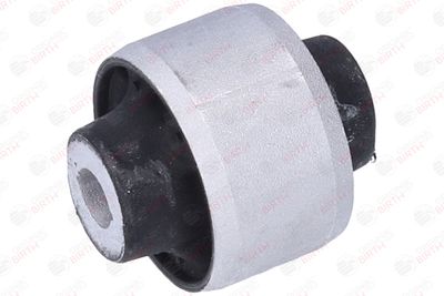 SUPORT TRAPEZ BIRTH 2012 3