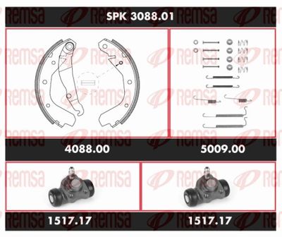 SET FRANA FRANA TAMBUR REMSA SPK308801