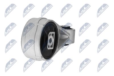 SUPORT MOTOR NTY ZPSFR003 18