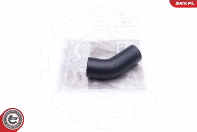 FURTUN EAR SUPRAALIMENTARE