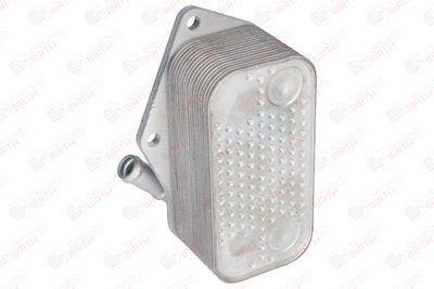 RADIATOR ULEI ULEI MOTOR BIRTH 80313 6