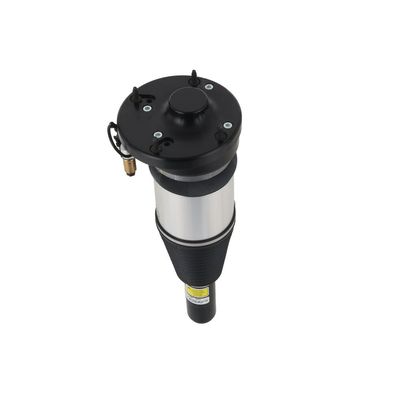 LUFTFEDERBEIN Arnott ASE3631 58