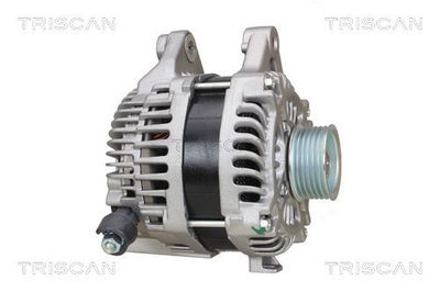 Generator TRISCAN 8310 10147
