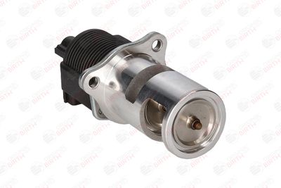 SUPAPA EGR BIRTH 90018 9