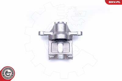 Brake Caliper 45SKV193