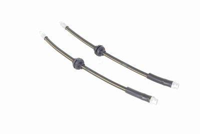 FURTUN FRANA VAICO V240091 4