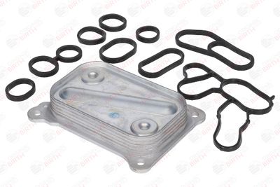 RADIATOR ULEI ULEI MOTOR BIRTH 8966 7