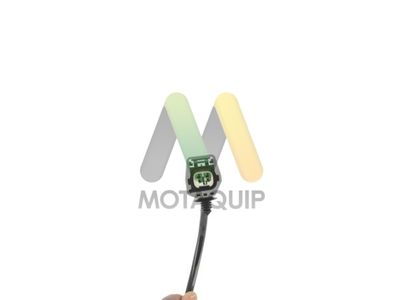 SENOR BATAI MOTAQUIP LVKN221 1