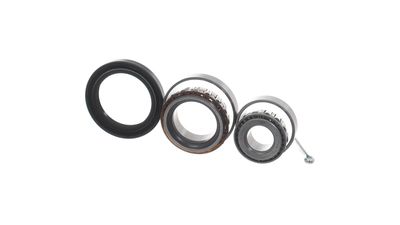 RADLAGERSATZ SKF VKBA528 18