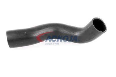 FURTUN EAR SUPRAALIMENTARE ACKOJA A380307 11