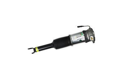 LUFTFEDERBEIN Arnott AS2958 75