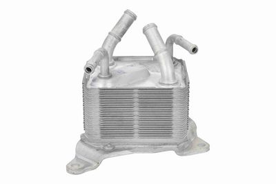 RADIATOR ULEI ULEI MOTOR ACKOJA A37600002 5