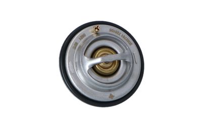 TERMOSTAT LICHID RACIRE NRF 725105 45
