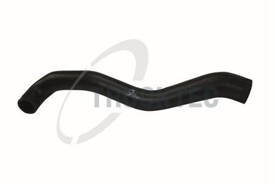 FURTUN EAR SUPRAALIMENTARE